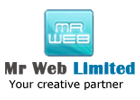 Web Design Company